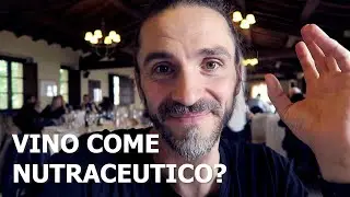 Il vino fa bene o fa male? | vlog