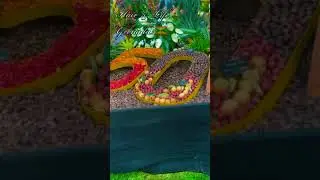 Grenada has won another GOLD medal at the RHS Chelsea Flower Show 2024! #grenada #youtubeshorts