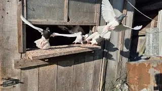 Tak słabo na YouTub to jeszcze nie zarobiłem 0zł!!! 😏 Etap drugi budowy czegoś z niczego 😆