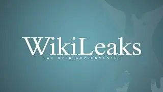 Wikileaks: Exclusive Interview with Investigations Editor Sarah Harrison