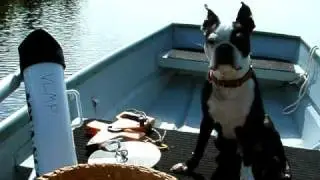 Off to collect data for the VLMP... My Assistant!