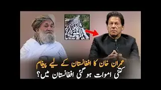 Imran Khan Message on Afghanistan Earthquake | Latest Death Toll Updates