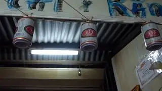 LIVING IN A RIVER? Floating House in Vietnam