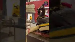 Vel murugan Temple Copenhagen Denmark 🇩🇰 Part 1.