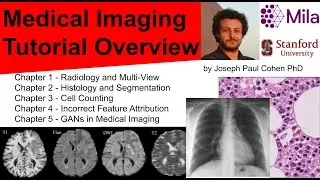 Medical Imaging with Deep Learning Tutorial Intro 2020