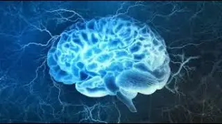 Neurophysiology Somatic sensory pathways