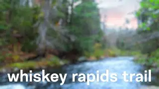 whiskey rapids trail - algonquin trip 2020 - LAST DAY (day 3)