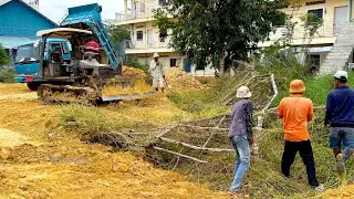 Wonderful Project Completed 100%! Landfill Using Skill Dozer D20P Pushing Stone with Dump Truck 