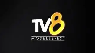 TV8 Moselle-Est : 1 jour, 1 minute - Expo &agrave; la Galerie T&ecirc;t'de l'Art