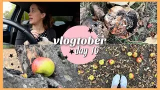 🍂 Жуткий фруктовый сад + завтрак в машине 🕸️ Vlogtober, день 16