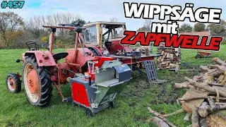 Verstärkung beim Brennholz! | Neue Säge fürn Mc Cormick? | IHC 633 | D430 | Collino Wippsäge