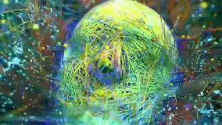 Face with x-particles xpTrail