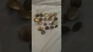 Vintage buttons can be worth a FORTUNE! Do you already have one or more?