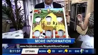 Buy Canadian First on /A\ Morning Ottawa: Outdoor living made in Canada - June 2010