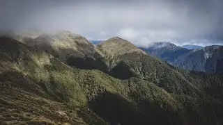 Tararua Forest Park - April 2024