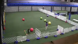 Snooker Game Nov & Exp Examples