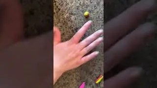 Making Clay Marbles