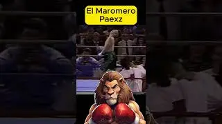Maromero Paez #luchalibre #boxylucha #reels #boxeo #boxefitness #ufcgym #box #boxing