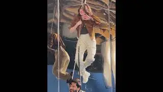 hania Amir singing Upcoming Shoot BTS #starstalentagency #fashion #haniaamir #bts #fahadmustafa