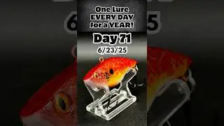 Day 71 - Custom Lure Painting  - Airbrushing Crankbaits #baitmaking #handmadelure #fishing #diy