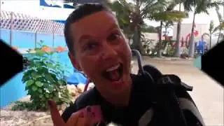 Your dive mission, should you choose to accept it....