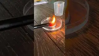 3 Easy At-Home Science Experiments for Kids | Air Pressure, CO₂, and Absorption