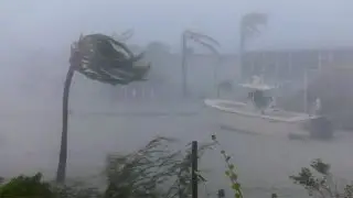 Hurricane Irma - Prowl the Howl
