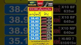 Longi Solar Panel Price in Pakistan