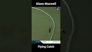 Glenn Maxwell flying catch in boundary 🔥