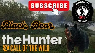 theHunter: Call of the Wild Black Bear Hunt