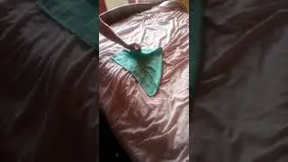 Towel whip. How to make a Proper Rats Tail That has 1 Hell of a kick to it! Free to Subscribe or 👍