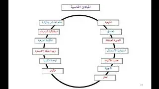 الدرس التاسع: المبادئ المحاسبية (الجزء الثاني)