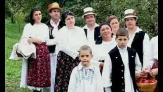 Dumitru Dobrican Taragot Doina