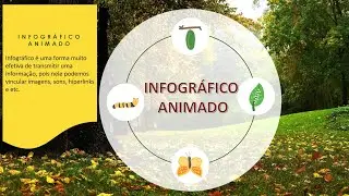 Infográfico Animado no PowerPoint