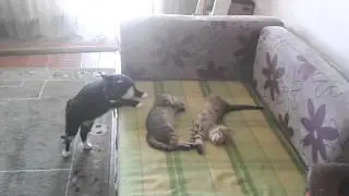 20150523 152811