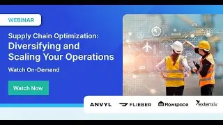 Supply Chain Optimization: Diversifying and Scaling Your Operations