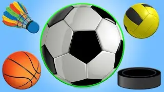 Learn SPORTS BALLS NAMES For Everyone ⚽️🏀🏈⚾️