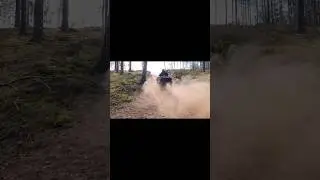 погнали 🤩