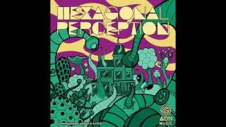 07 - VirtualDreamer - Into The Core [VA - Hexagonal Perception - ADN Music]