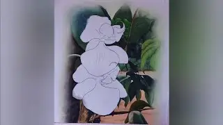 Pintura de orquídeas em tecido (parte 1 - Pintura do fundo)