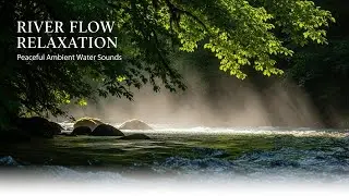 Gentle Forest Ambience with Green Stream Flow for Study Meditation Sleep Stress Relief and Calm Mind
