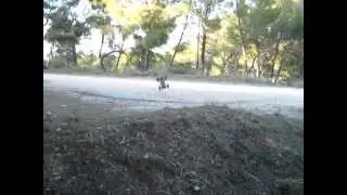MT4 G3 6S lipo crash