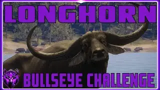 Biggest Bullseye Longhorn Edition