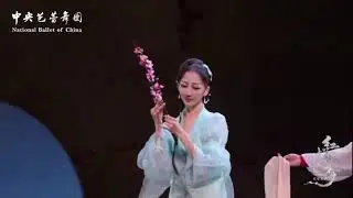 Timeless Love in The Dream of the Red Chamber Ballet Performance