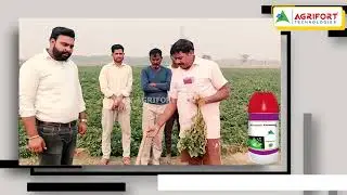 कन्वर्टर का कमाल , अब हर गांव में धमाल !! || AGRIFORT TECHNOLOGIES || #agriculture #farmers