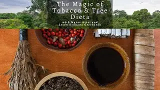The Magic of Tobacco & Tree Dieta