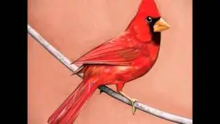 Emerald Street (HQ) (HD) (with lyrics) - Alexisonfire