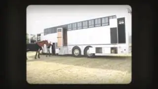 7.5t Horsebox For Sale