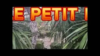 Visit &ldquo;Little Paris&rdquo; Tarn et Garonne