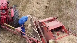 2021 | MF510 S combine aan het graan dorsen en een oude balenpers aan het stro pakken in Herwijnen.